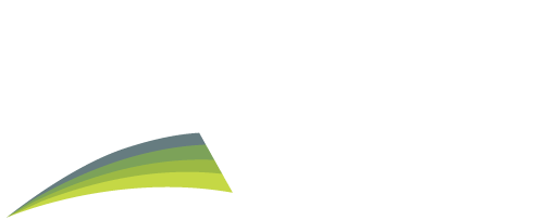 Apex Logo
